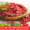Best Organic Certificated Nutrition Goji Berry with high quality